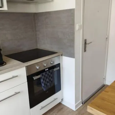 Διαμέρισμα La Perouse Vue Et Chateau Μπρεστ