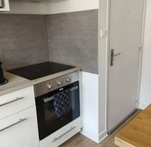 דירה La Perouse Vue Et Chateau ברסט